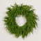 20in. Pre-Lit Artificial Real Touch Norfolk Island Pine Wreath with 35 Warm White LED Lights and Natural Look